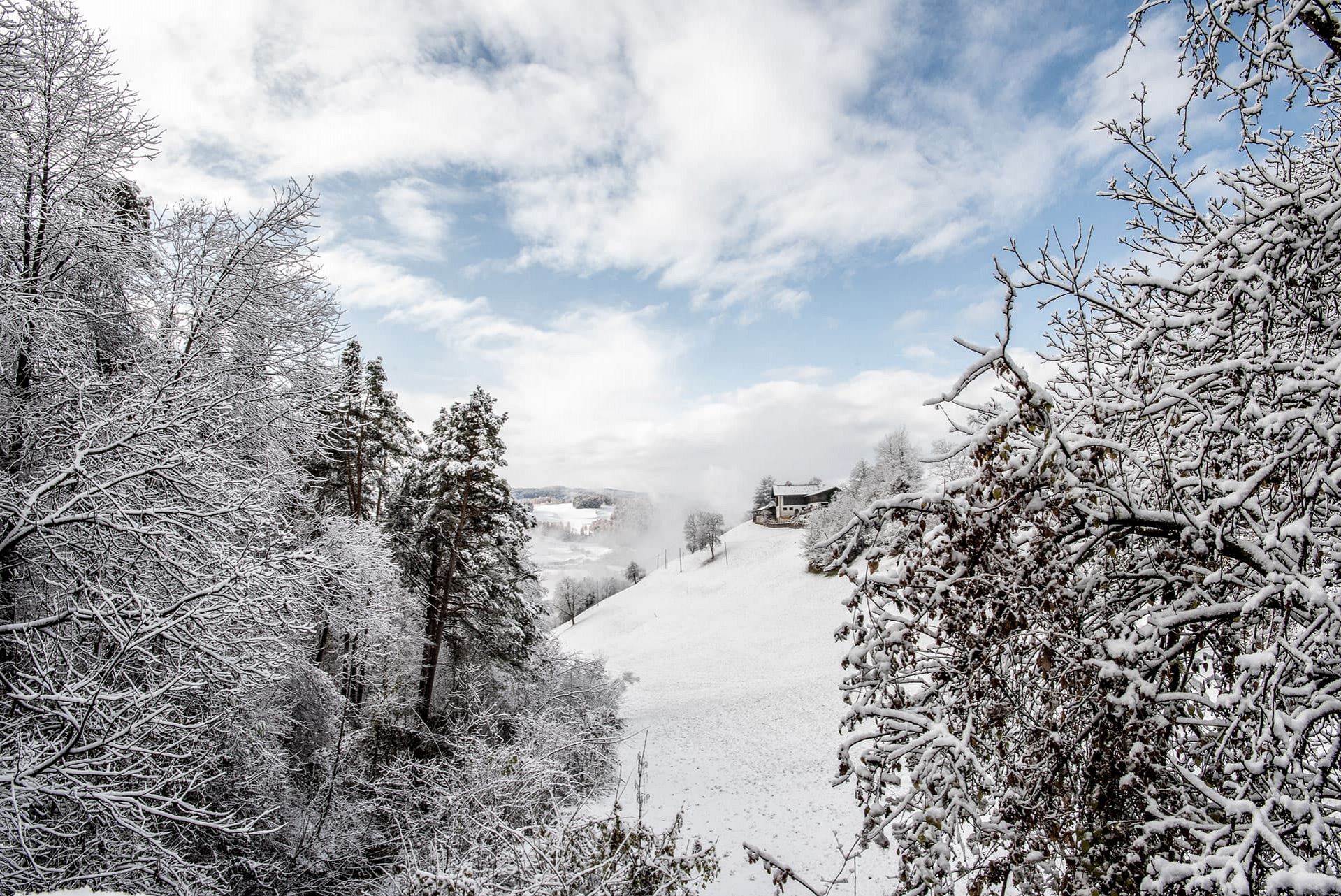 ausblick moar muehle voels