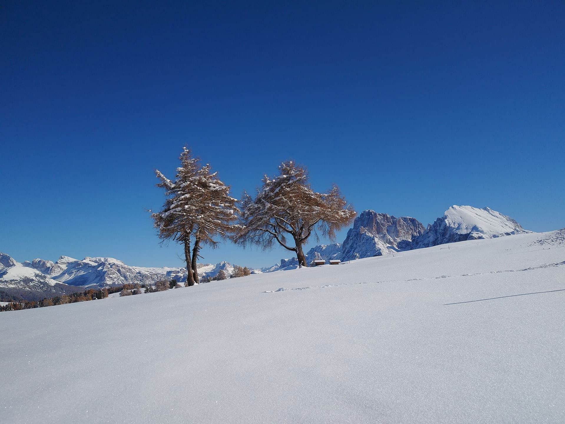 langkofel plattkofel seiser alm